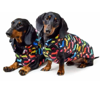 fashion-dog-hondenjas-teckel-multi-colour